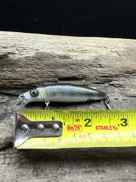 Sapphire Shiner