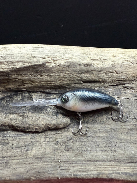 Lanier Minnow