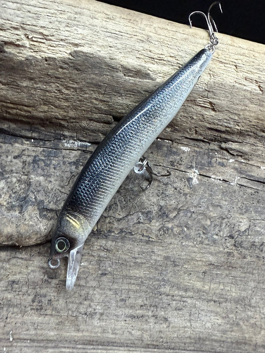Lanier Minnow