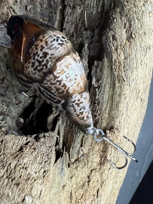 Bone Ripper 4-6 Feet Dive