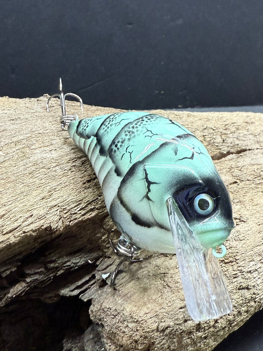 Grand Paw Craw 2.0  4-8 Feet Dive