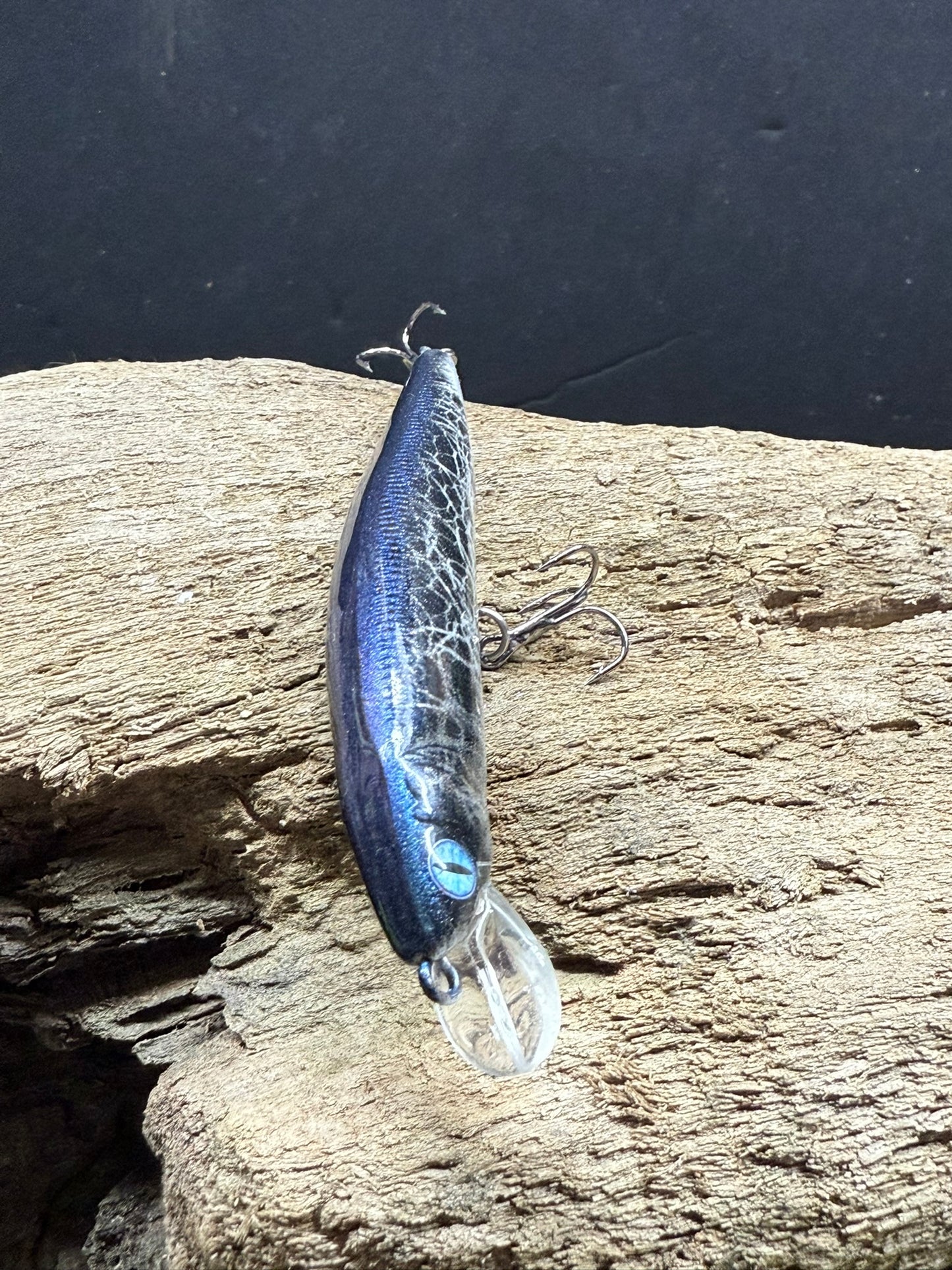 Mistic Blue Back 4-6 Feet Dive