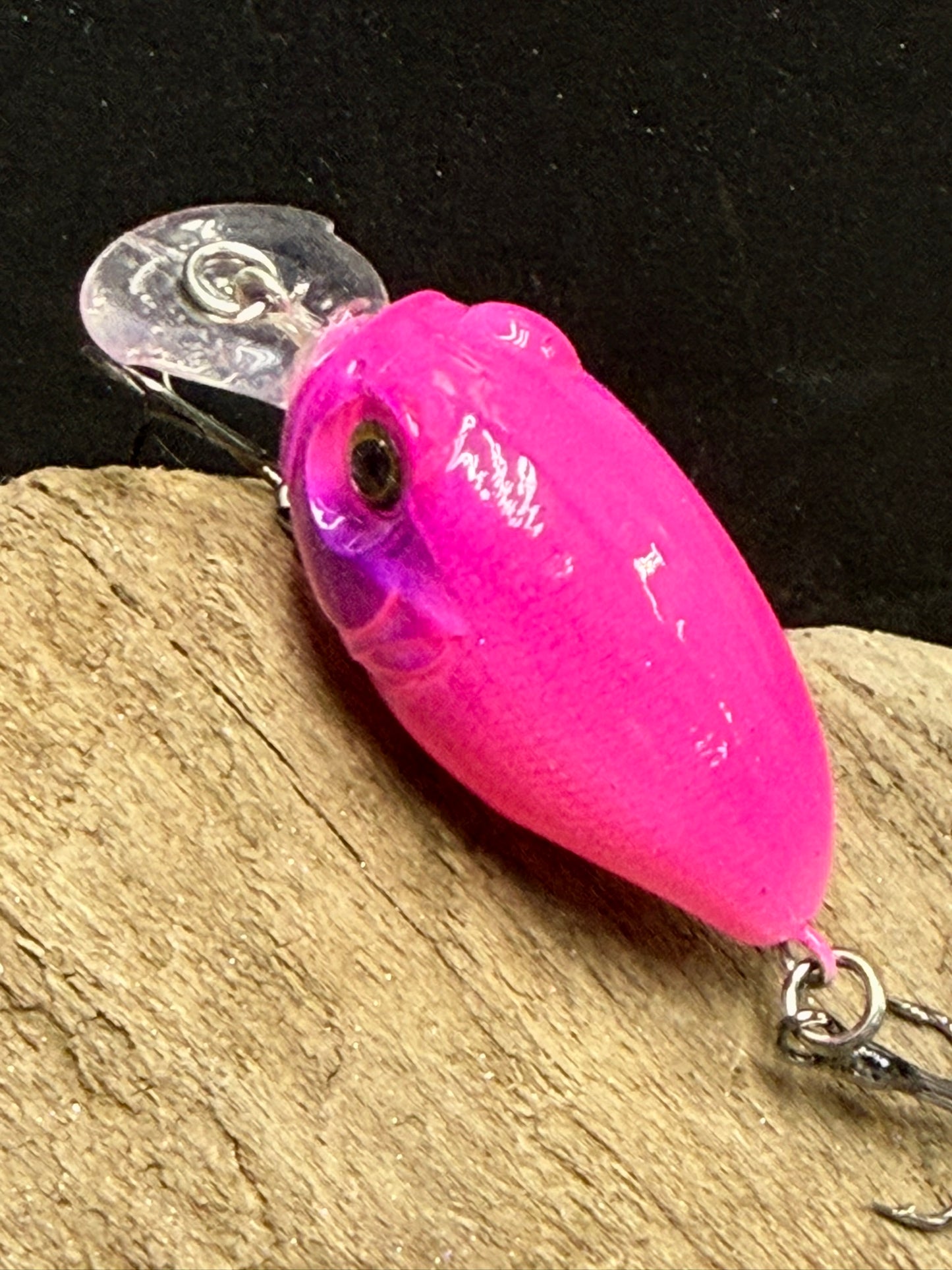 Griffon Ko 4-6 feet dive