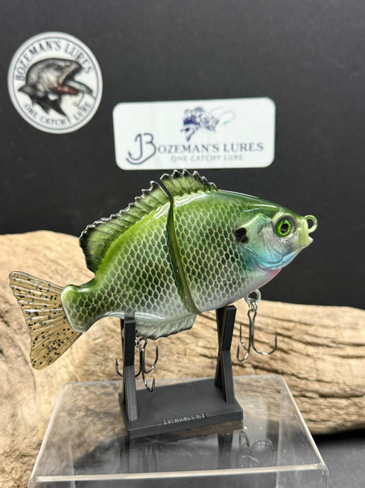 Sassy Blue Gill 6 inch slow sinking