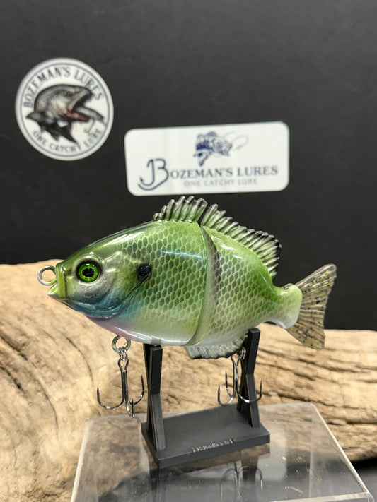 Sassy Blue Gill 6 inch slow sinking