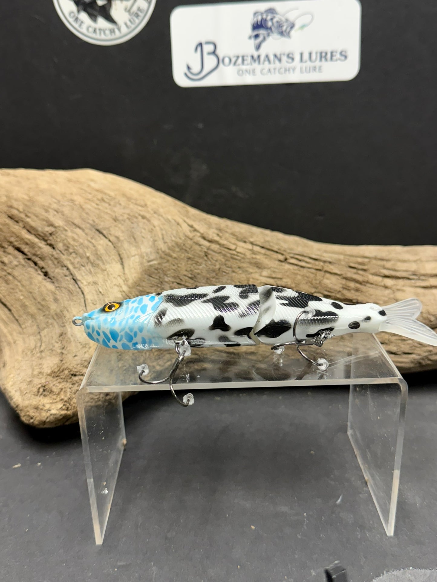 6 1/2 Inch Custom Glide Bait The Funk