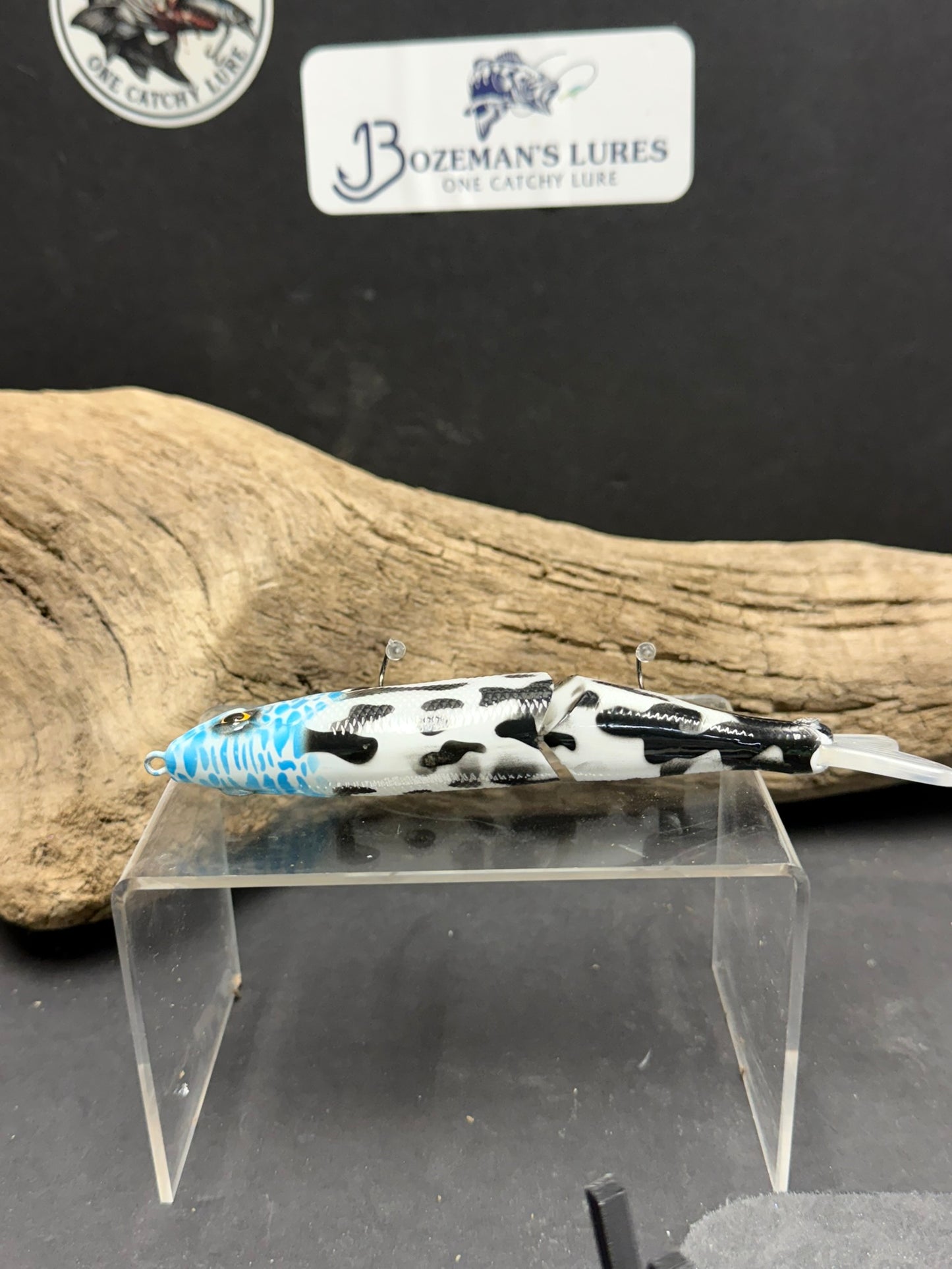 6 1/2 Inch Custom Glide Bait The Funk