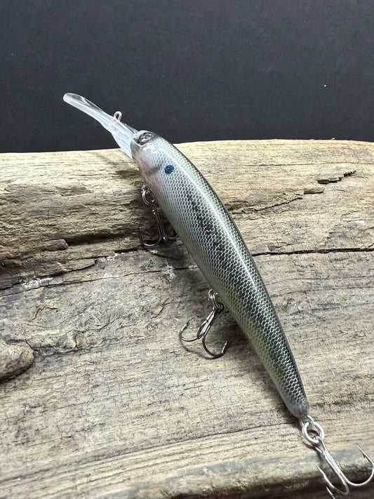 XL Oconee Shade 8-12 Feet dive