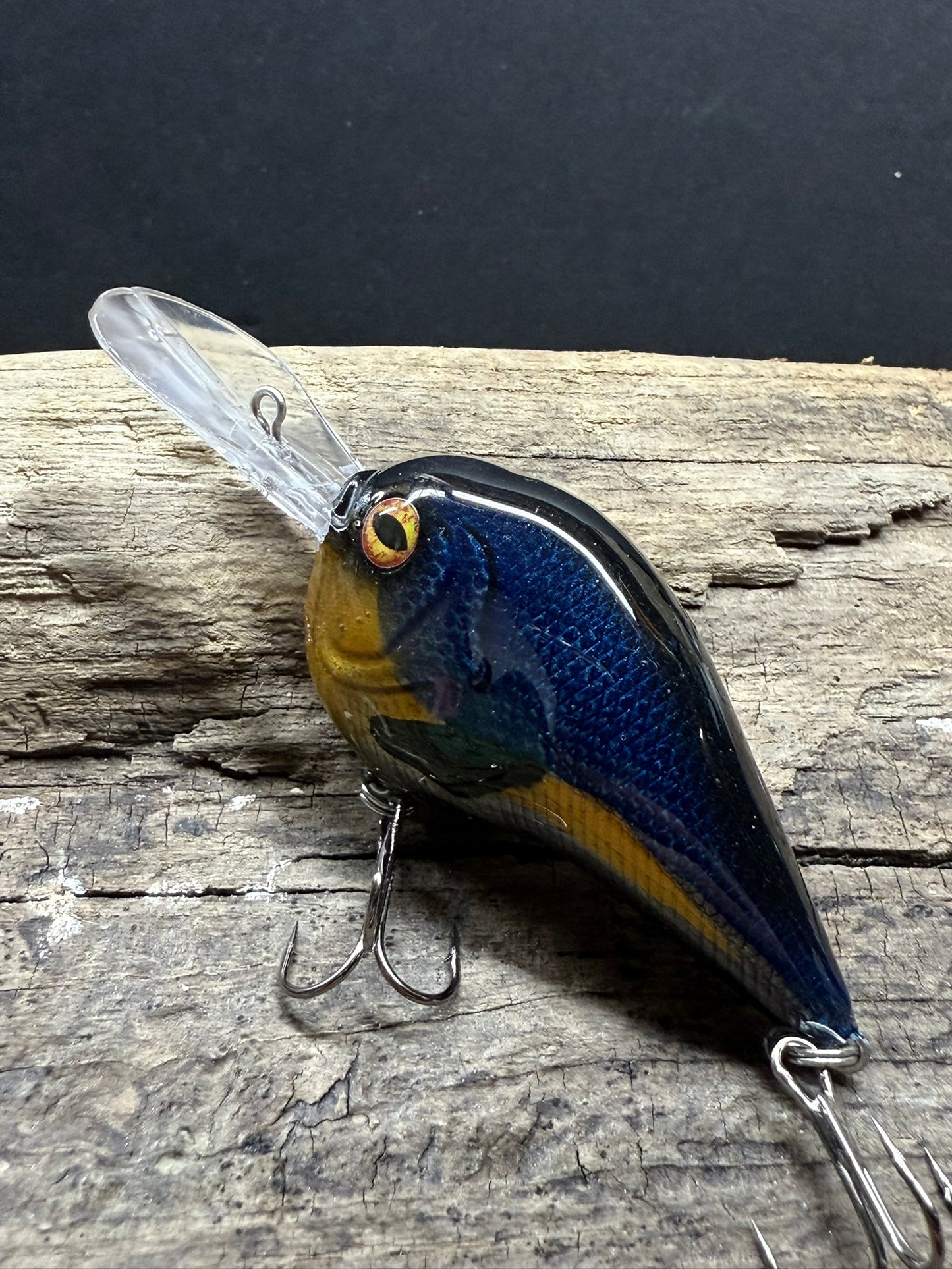 Blue Regal 6-10 Dive